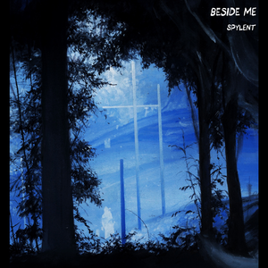 日韩国产天猫扑虎影视视频
