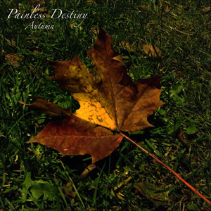 日韩国产天猫扑虎影视视频
